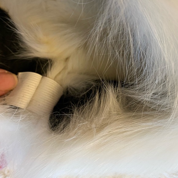 Genuine Winter White Arctic Fox Fur Headband - Neck Warmer - Picture 6 of 6